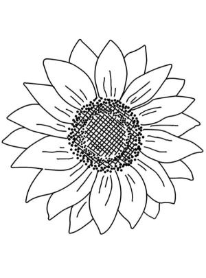 Ayçiçeği boyama sayfası,  coloring page, Ayçiçeği tohumları saçılmış, 