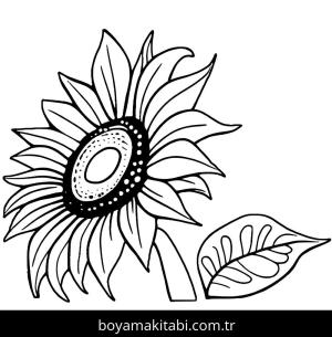 Ayçiçeği boyama sayfası,  coloring page, çizgi, tatlı, doğal