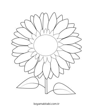 Ayçiçeği boyama sayfası – keyifli zaman, renkli çizimler