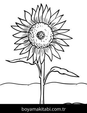 Ayçiçeği boyama sayfası 50333,  coloring page, 