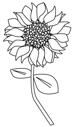 Ayçiçeği boyama sayfası,  coloring page, Tükenmeyen enerji ayçiçeğinden gelir., 