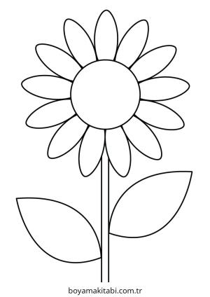 Ayçiçeği boyama sayfası – renkli çizimler, okul öncesi