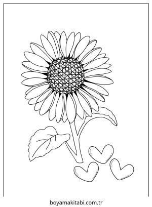 Ayçiçeği boyama sayfası – el becerilerini geliştirir, boyama çalışması