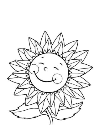 Ayçiçeği boyama sayfası,  coloring page, Pembe yanaklı ayçiçeği., 