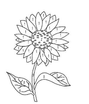 Ayçiçeği boyama sayfası,  coloring page, 1 – sarı, 2 – kahverengi, 3 – yeşil, 