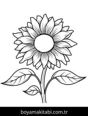 Ayçiçeği Boyama