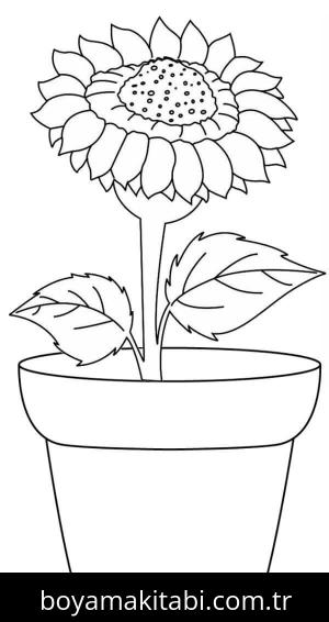Ayçiçeği boyama sayfası – okul öncesi, evde etkinlik