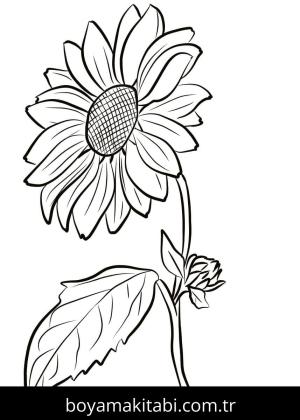 Ayçiçeği boyama sayfası – PDF indir, sevimli karakter