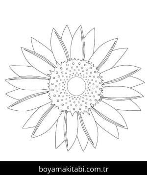 Ayçiçeği boyama sayfası 50327,  coloring page, 