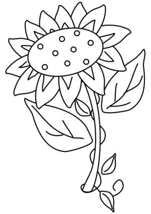 Ayçiçeği boyama sayfası,  coloring page, Küçük altın çiçek., 