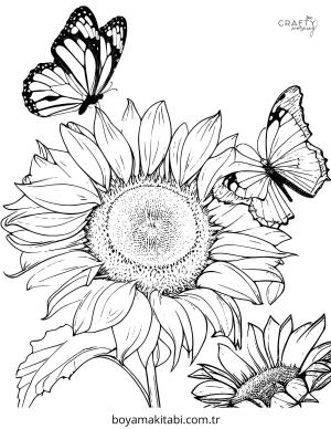 Ayçiçeği boyama sayfası – evde etkinlik, ücretsiz yazdır