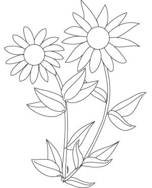 Ayçiçeği boyama sayfası,  coloring page, Komple çalı, 