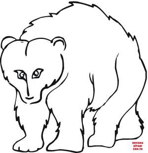 Ayı boyama sayfası, Bear coloring page, , Bears Cartoon Grizzly Bear