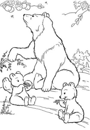 Ayı boyama sayfası, Bear coloring page, Anne Ayı ve İki Yavru Ayı, 