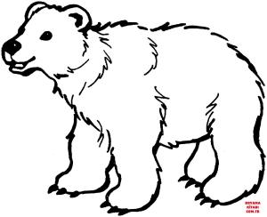 Ayı boyama sayfası, Bear coloring page, , Bears Brown Bear