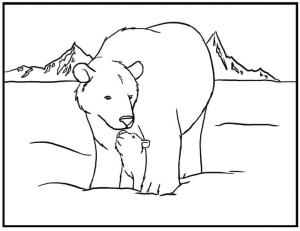 Ayı boyama sayfası, Bear coloring page, , 