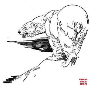 Ayı boyama sayfası, Bear coloring page, , Bears Polar Bear Is Walking On The Ice