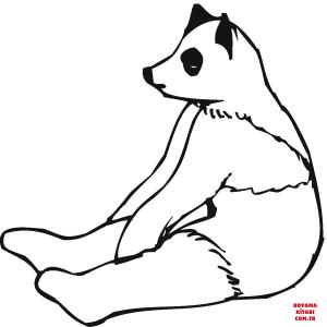 Ayı boyama sayfası, Bear coloring page, , Bears Panda