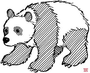 Ayı boyama sayfası, Bear coloring page, , Bears Giant Panda