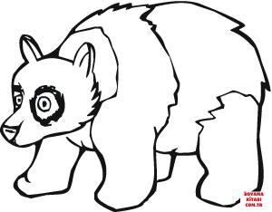 Ayı boyama sayfası, Bear coloring page, , Bears Panda