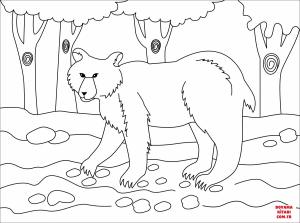 Ayı boyama sayfası, Bear coloring page, , Bears Brown Bear