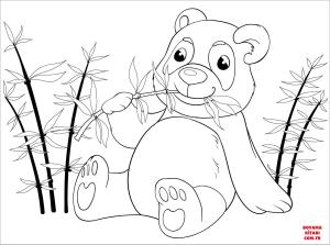 Ayı boyama sayfası, Bear coloring page, , Bears Panda