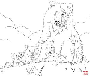 Ayı boyama sayfası, Bear coloring page, , Bears Grizzly Bear Mother And Cubs