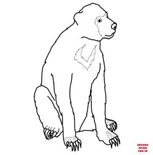 Ayı boyama sayfası, Bear coloring page, , Bears Malayan Sun Bear