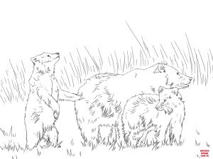 Ayı boyama sayfası, Bear coloring page, , Bears Grizzly Bear With Two Cute Cubs
