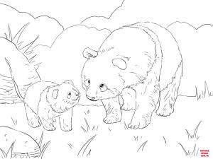 Ayı boyama sayfası, Bear coloring page, , Bears Mother Panda With Cute Cub