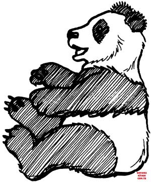 Ayı boyama sayfası, Bear coloring page, , Bears Giant Panda Sitting