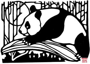 Ayı boyama sayfası, Bear coloring page, , Bears Panda In Bamboo Forest