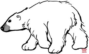 Ayı boyama sayfası, Bear coloring page, , Bears Polar Bear