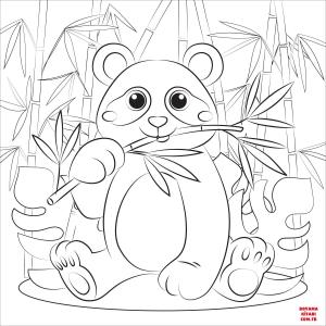 Ayı boyama sayfası, Bear coloring page, , Bears Panda