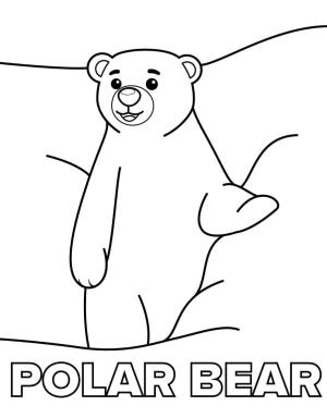 Ayı boyama sayfası, Bear coloring page, , 