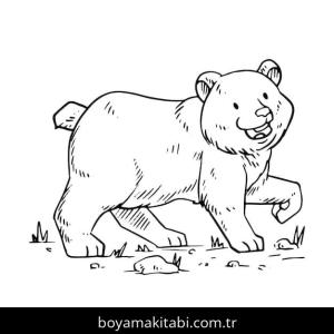 Ayı boyama sayfası – sevimli karakter, sanatsal çalışma