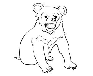 Ayı boyama sayfası, Bear coloring page, , Bears Asia Black Bear Cub