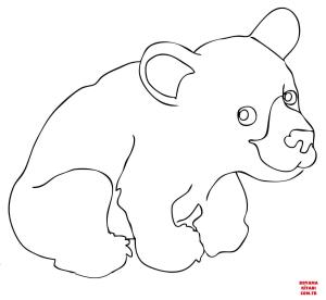 Ayı boyama sayfası, Bear coloring page, , Bears Cute American Black Bear Cub