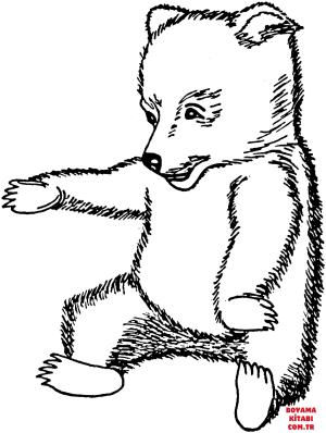 Ayı boyama sayfası, Bear coloring page, , Bears Brown Bear Cub