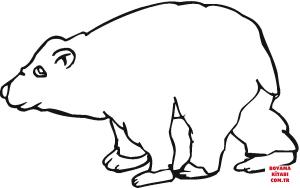 Ayı boyama sayfası, Bear coloring page, , Bears Brown Bear