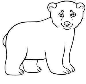 Ayı boyama sayfası, Bear coloring page, , 