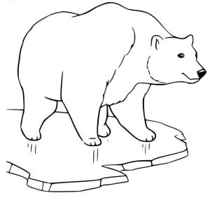 Ayı boyama sayfası, Bear coloring page, , 