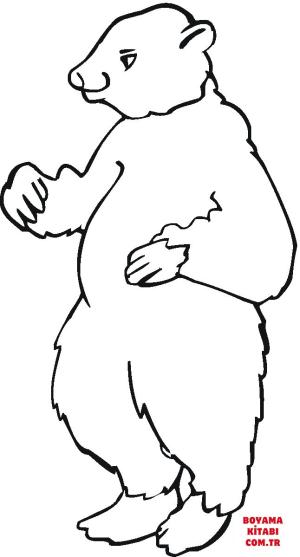 Ayı boyama sayfası, Bear coloring page, , Bears Brown Bear