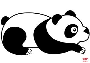 Ayı boyama sayfası, Bear coloring page, , Bears Panda