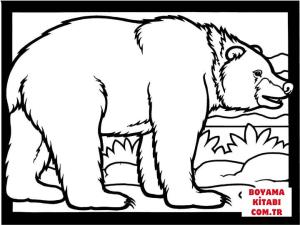 Ayı boyama sayfası, Bear coloring page, , Bears Brown Bear Is Walking
