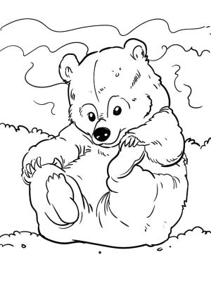 Ayı boyama sayfası, Bear coloring page, Komik Ayı, 