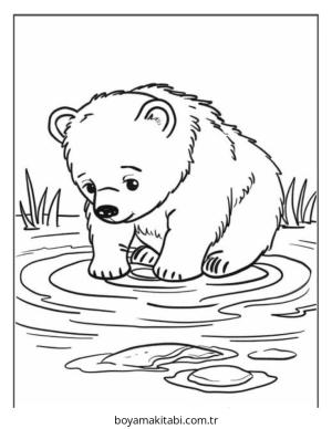 Ayı boyama sayfası – basit çizim, kolay boyama