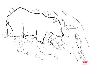 Ayı boyama sayfası, Bear coloring page, , Bears Grizzly Bear Is Fishing