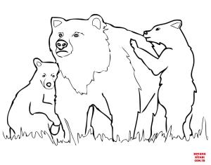 Ayı boyama sayfası, Bear coloring page, , Bears Grizzly Bear Mother And Cubs