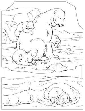 Ayı boyama sayfası, Bear coloring page, , 